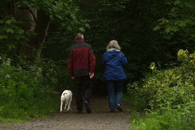 Take the dog for a walk 